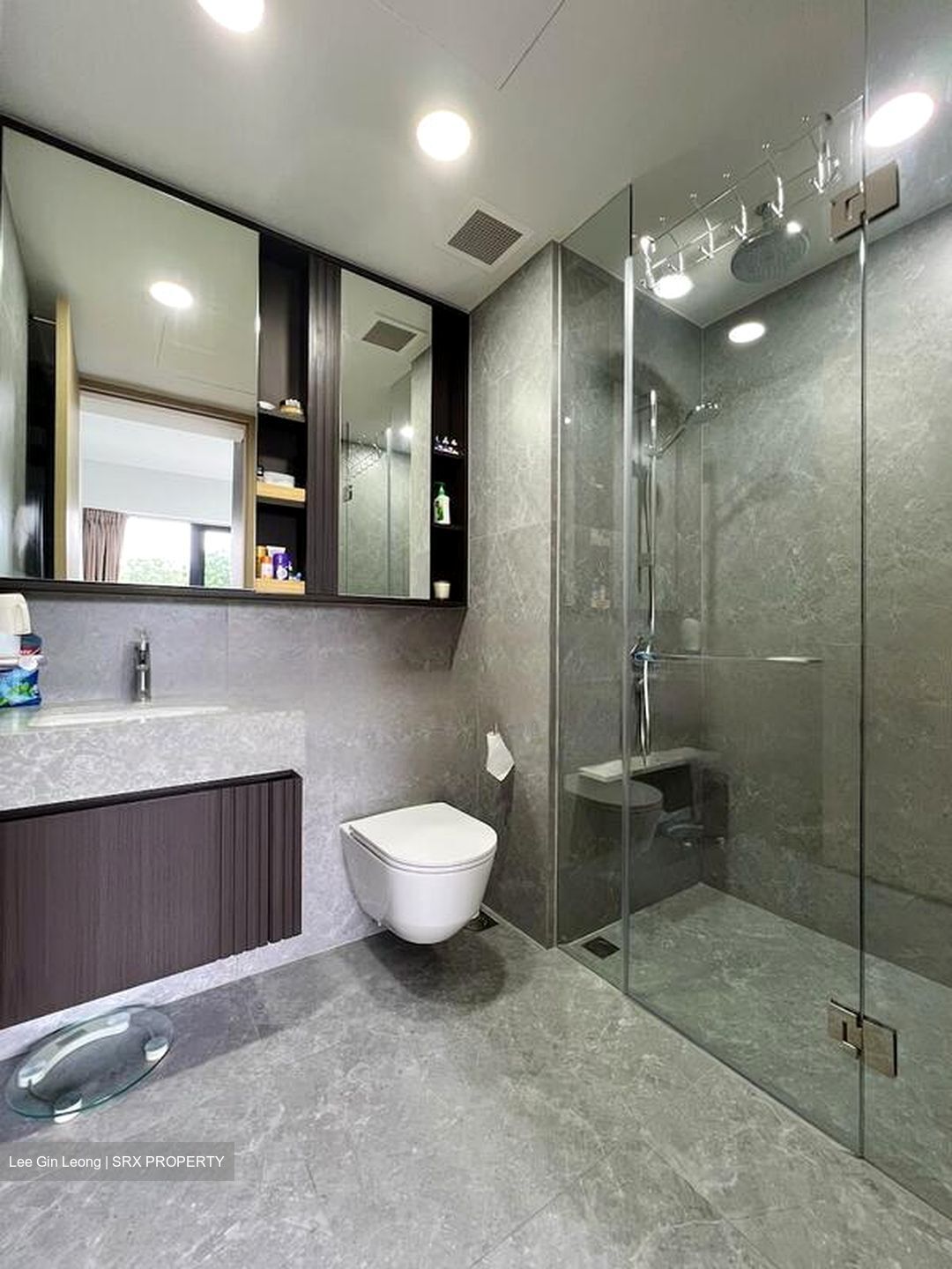 KI Residences at Brookvale (D21), Condominium #470494911